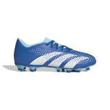 Adidas Predator Accuracy .4 FG